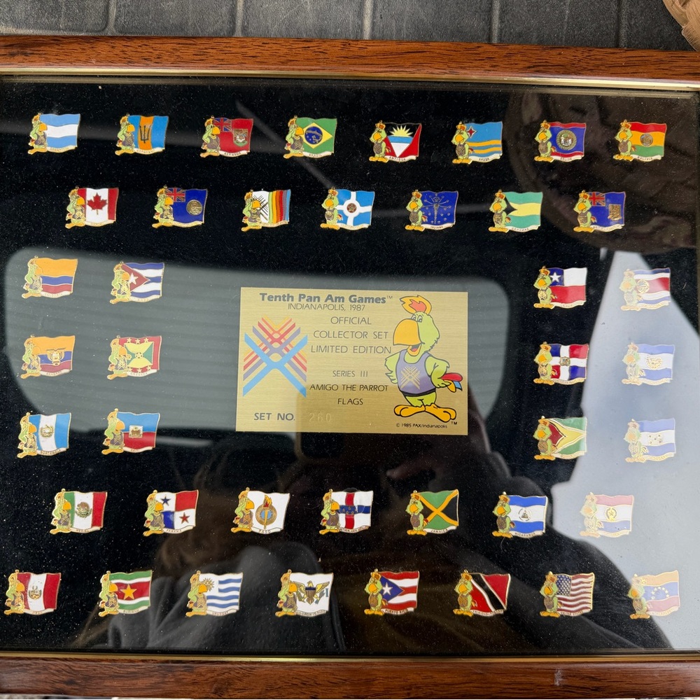 Tenth Pan Am Games Pin Collection